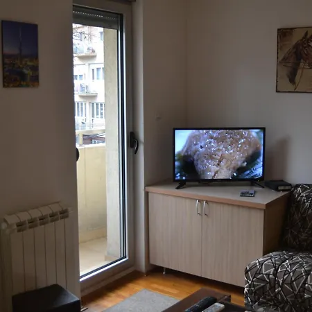 Apartment Vladar *
